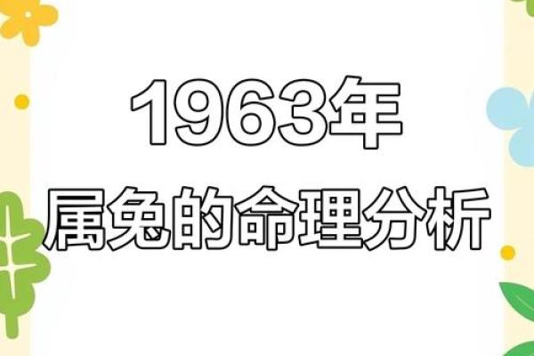 想要了解贪荣慕利对应什么生肖，以及它的命运解析