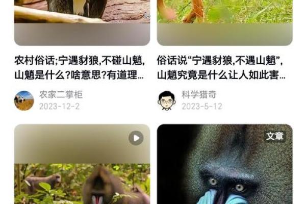 ‌为虎作伥指什么生肖 → 猴（猴附虎威，伥鬼弄权）‌