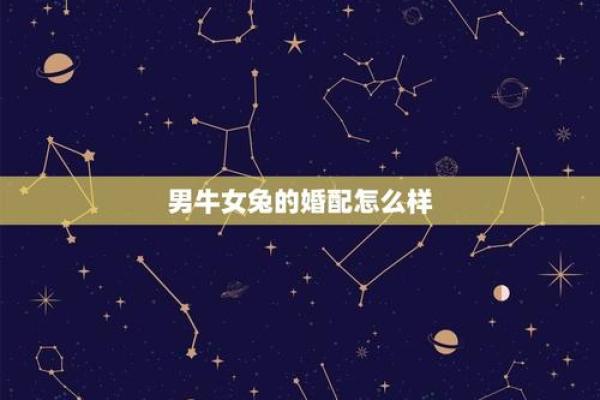 牛女和兔女属相合不合 牛女和兔女属相合不合婚姻
