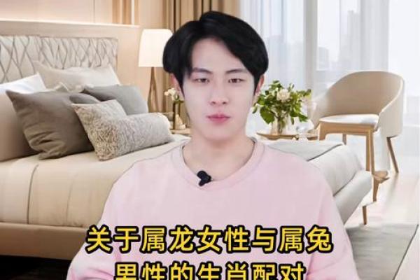 87兔和88龙属相合不合 87属兔和88属龙的婚姻怎么样