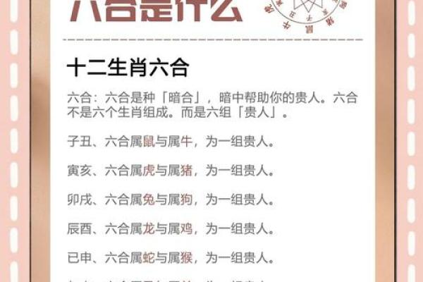 虎男和猪女的属相合不合