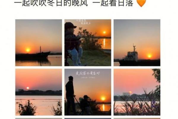 夕阳落日打一生肖(夕阳落日打一生肖谜底)
