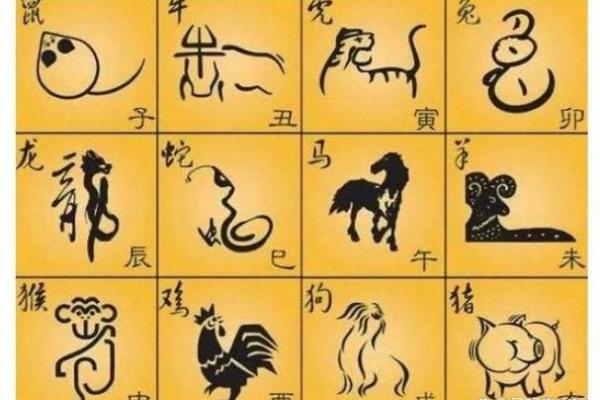 贼走关门是什么生肖(贼走关门是什么生肖,求解)