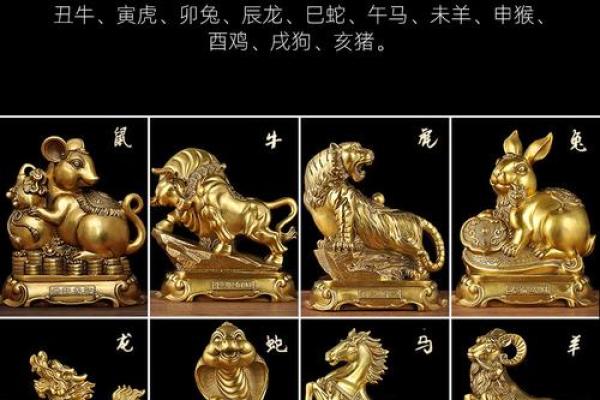 溜干二净猜一个准确生肖(溜干净啥意思)