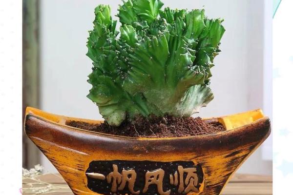 玉麒麟最忌三种属相 玉麒麟是什么属性