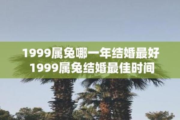 1999年属兔男和属马女婚配如何 1999年属兔婚配
