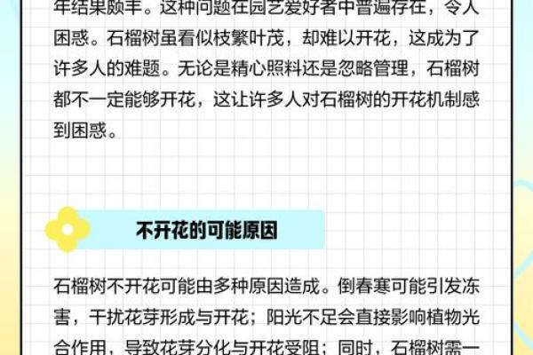 石榴花为什么不吉利 石榴花不好的寓意