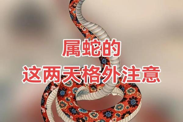 ‌入木三分是什么生肖 → 蛇‌（蛇芯如锥，洞察入微）