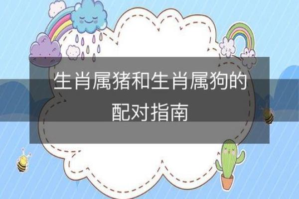 属狗男与属猪女婚配怎么样 属狗男与属猪女婚配怎么样呢