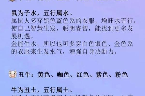 鼠肚鸡肠指什么生肖(鼠肚鸡肠的意思是什么打一肖)