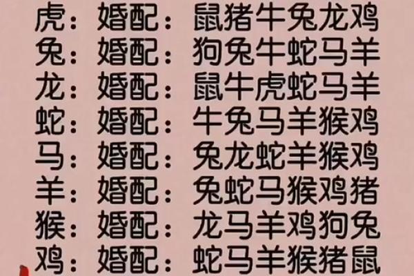 兔子和老虎属相合不合 兔子和老虎属相合不合财