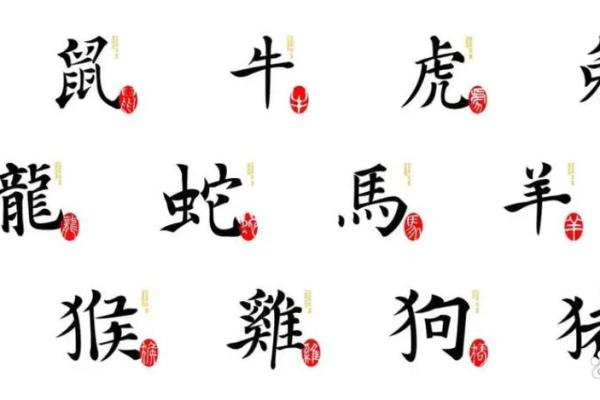 大是什么生肖 大是什么生肖