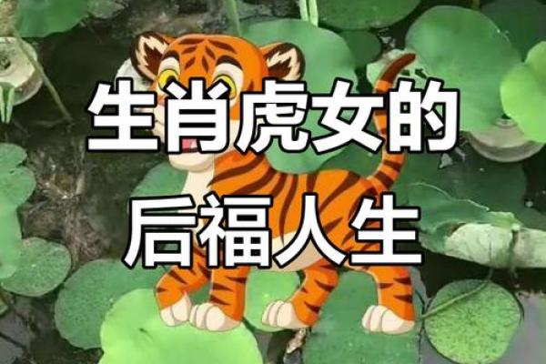 晚年最可怜的三大生肖 晚年最可怜的三大生肖