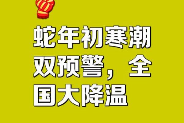 ‌冬至打一生肖 → 蛇（蛇蛰冬至，阴极阳生）‌