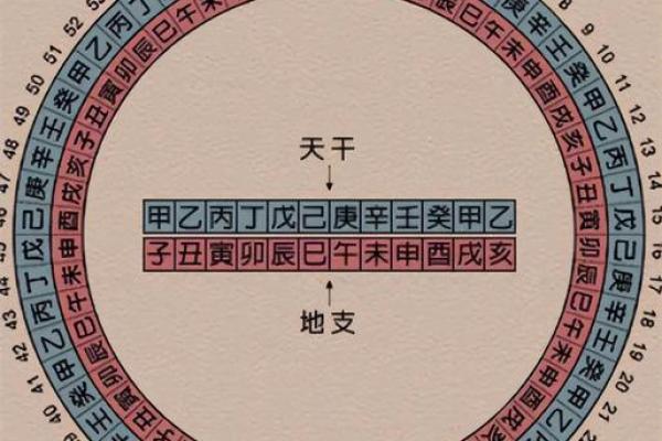 短斤缺两是什么生肖