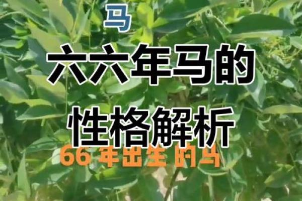1966年属马2018年运势及运程 1966年属马的人2018年运程