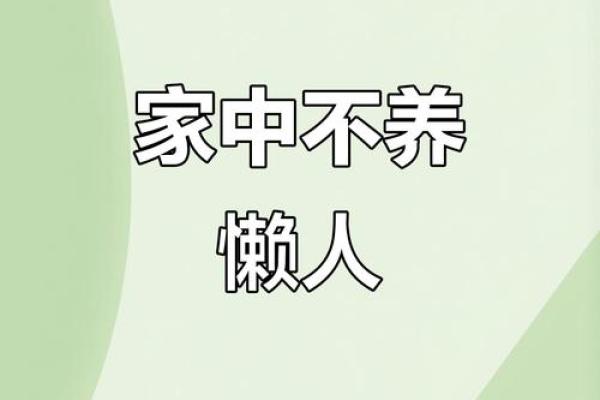 勤俭持家是指什么生肖(勤俭持家是指什么生肖)