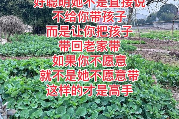 带着孩子回娘家 带着孩子回娘家老公都不打电话关心