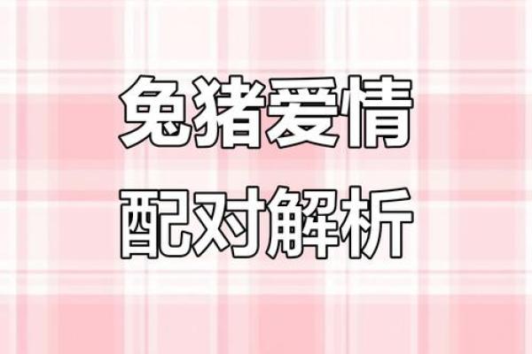 男兔和女猪的属相合不合 女鸡和男兔相配婚姻如何