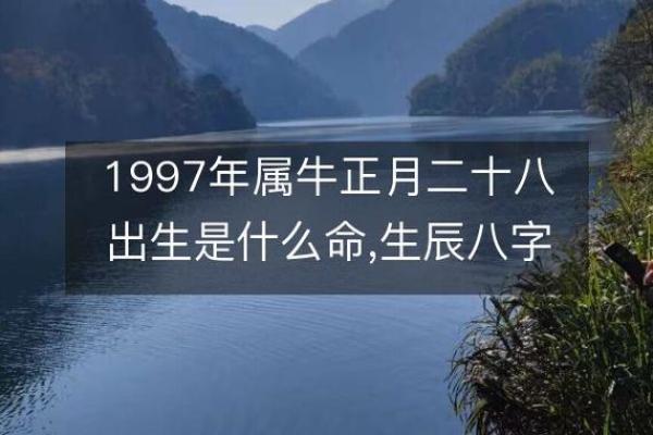 属牛的几月出生最好(属牛的几月出生最好根据)