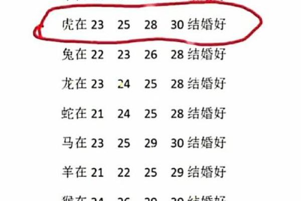 02年女马最佳配偶属相 2002年的女马属性最佳配偶是什么属性 02年女马最佳配偶属相 2002年的女马属性最佳配偶是什么属性