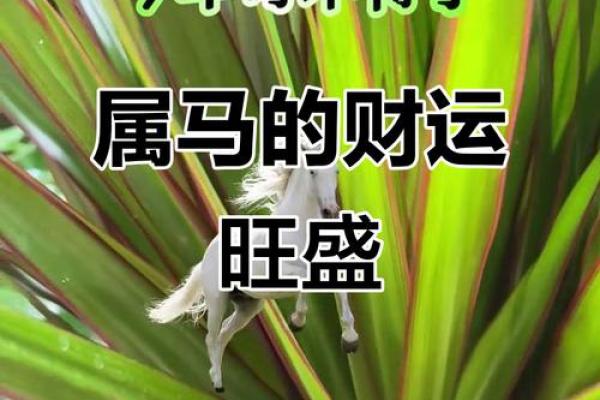 90年属马的三大坎 90年属马一生三大劫