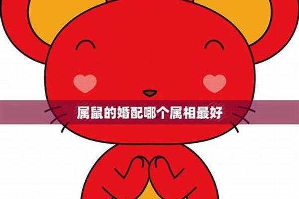 1996女属鼠最佳婚配属相 1996女属鼠最佳婚配属相