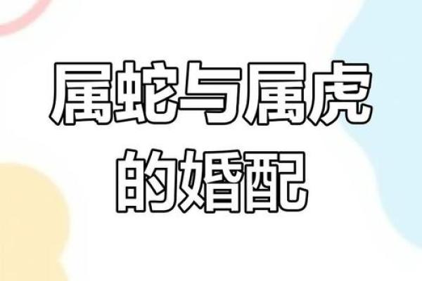 男鼠和女蛇的属相合不合婚姻 男鼠和女蛇相配吗婚姻