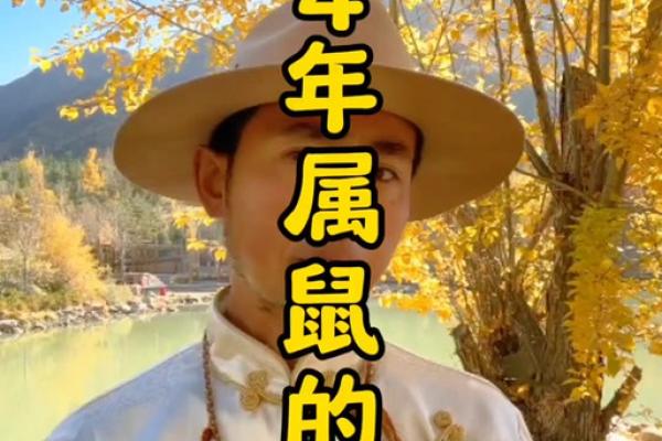 1984年出生属鼠2025年每月运势如何？需要注意哪些方面？