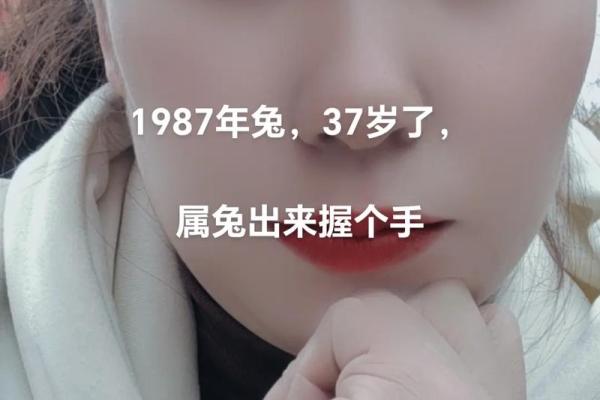 87属兔2024年有三喜