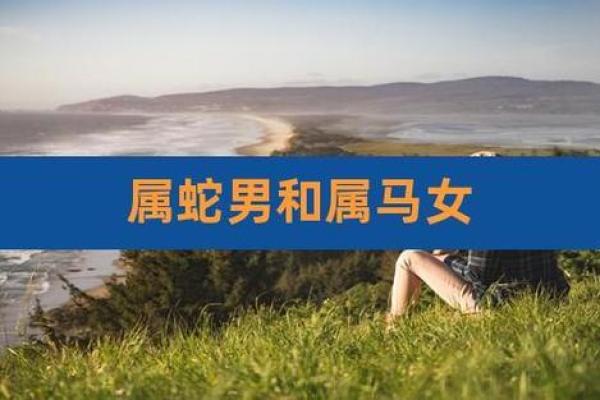 女属马与男属蛇的婚配好不好 女属马与男属蛇的婚配好不好呢