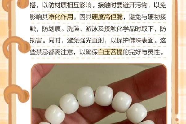 什么属相不能戴白玉菩提 哪些属相不适合戴玉观音