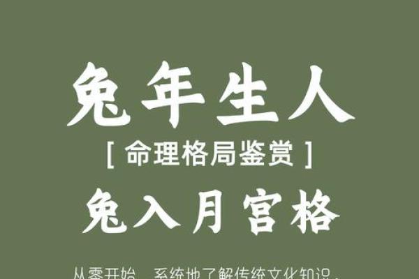 ‌唇亡齿寒打一生肖 → 兔（兔唇齿寒，相依为命）‌