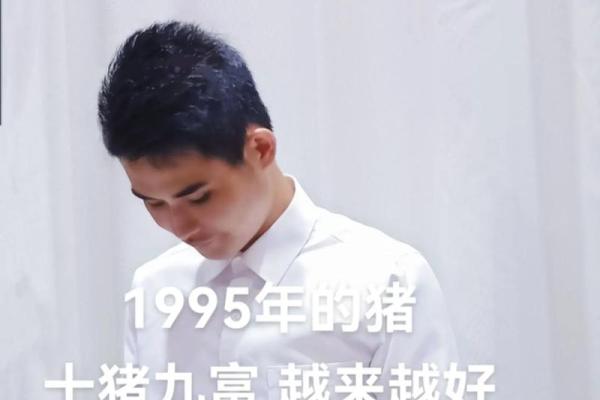 1995年属猪一生经过几个大劫,1995年属猪女一生能离几次婚
