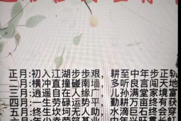 2024属牛要小心一个人(属牛人2024年爱情好不好)