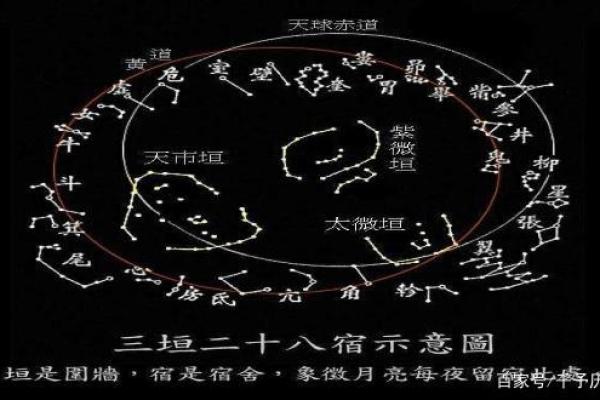 夜观天象是什么生肖