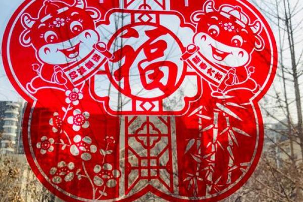 举国上下指什么生肖(举国上下的意思是)