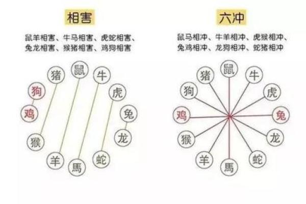 相害的属相在一起会有什么结果 属相相害的夫妻能好吗