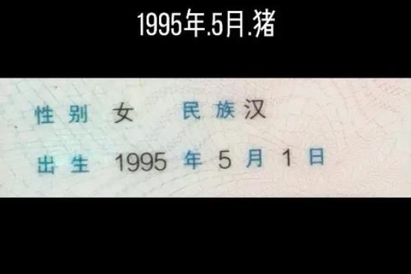 95属猪结婚哪些属相不能迎亲 95属猪结婚最佳年龄