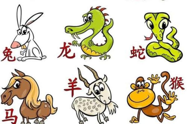 马和老鼠属相合不合 马和老鼠属相合不合对才运