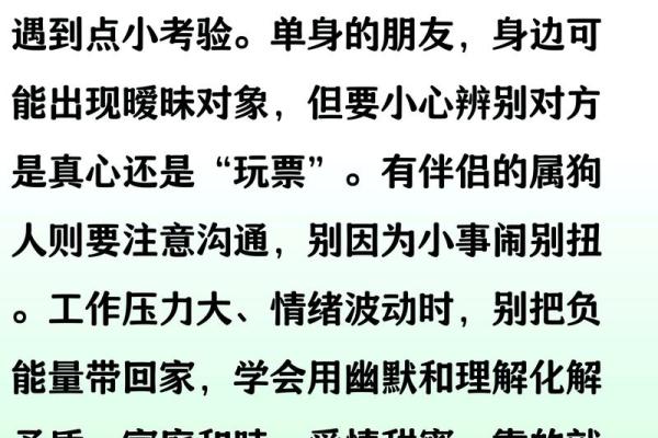 属狗的人2025年全年运势详解，每月运程完整版及得把眼睛擦亮了分析
