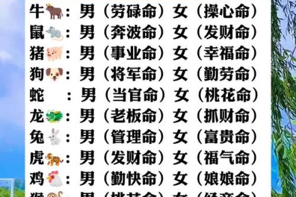 天命是什么 天命是什么生肖