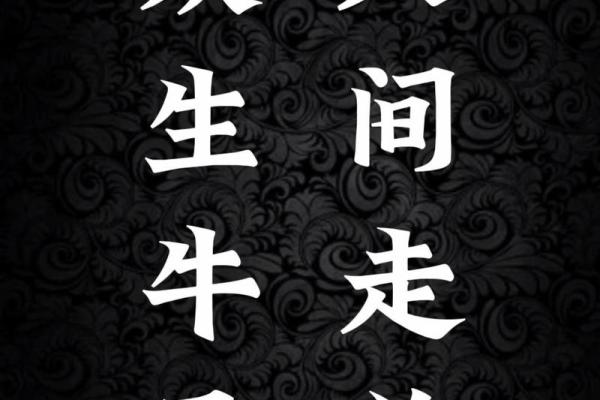 风尘之声代表什么生肖