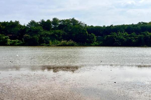 平添四海三江水打准确生肖(平添四海三江水打准确生肖动物)