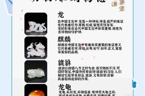 点头哈腰形容的是哪种动物？它的行为特征和寓意解析