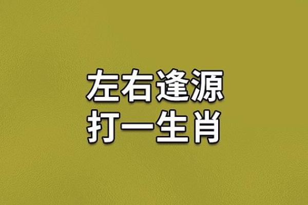 反哺之私打一生肖