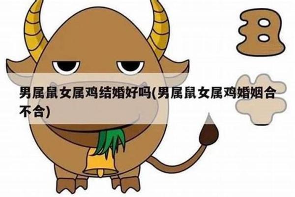 鸡男鼠女属相合不合 鸡男鼠女婚配是否合适