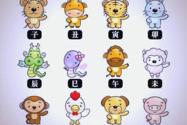 无所不能是什么生肖(无所不能的动物代表什么生肖)