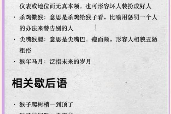 粗俗之辈打一最佳生肖