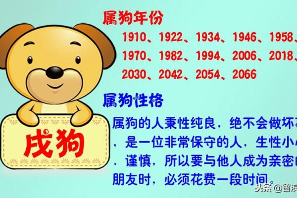 生肖性格在不同年份会有变化吗，如何查询个人运势走向？